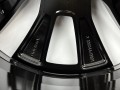 IMG_8781.jpeg